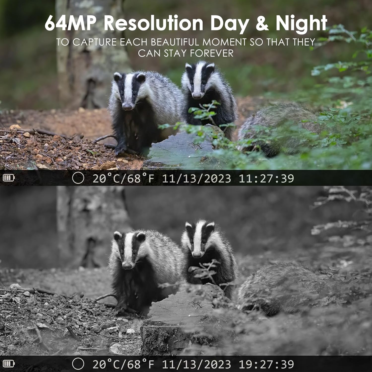 The MAXDONE Wildlife Camera 4K 64MP with Night Vision Motion Activated Brand New - Product View 5 available from Rouge Technologies