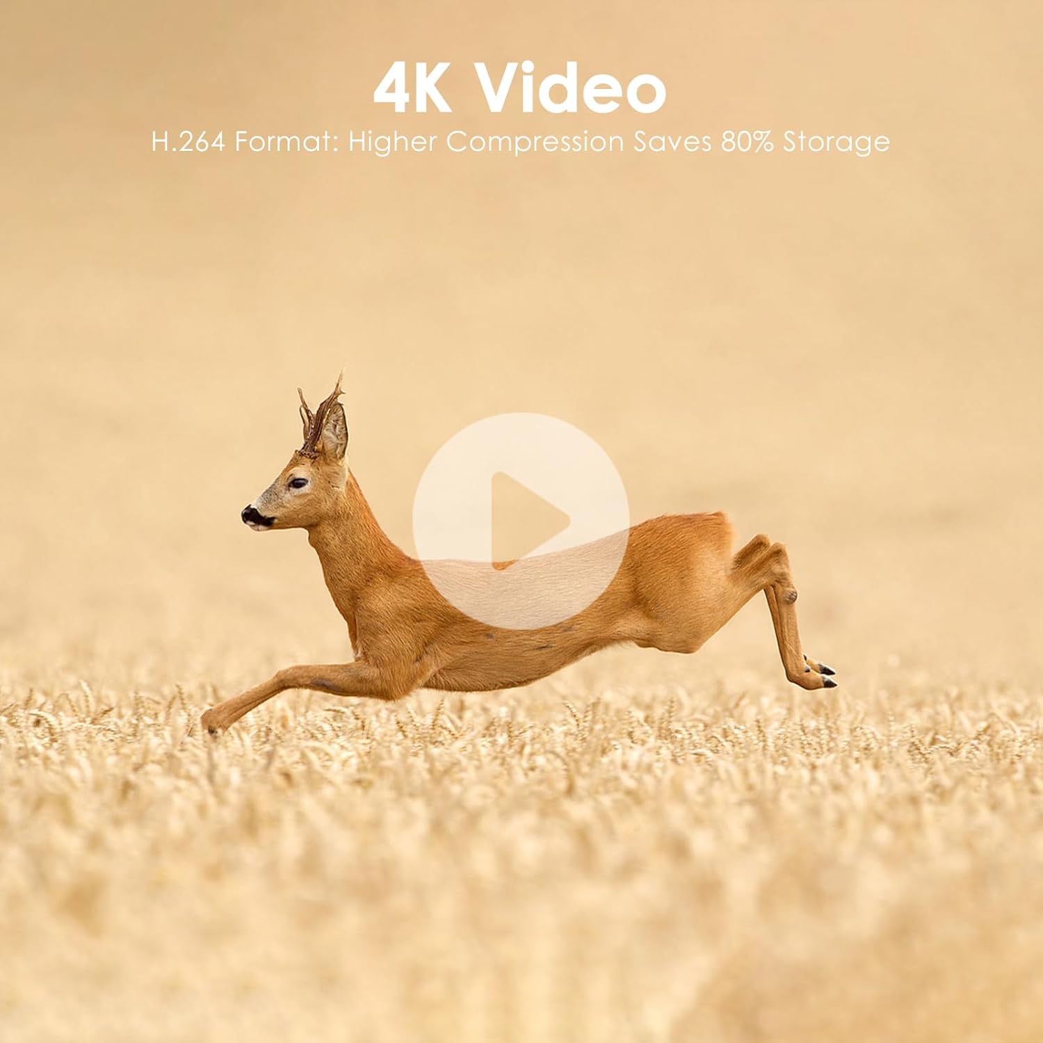 The MAXDONE Wildlife Camera 4K 64MP with Night Vision Motion Activated Brand New - Product View 7 available from Rouge Technologies