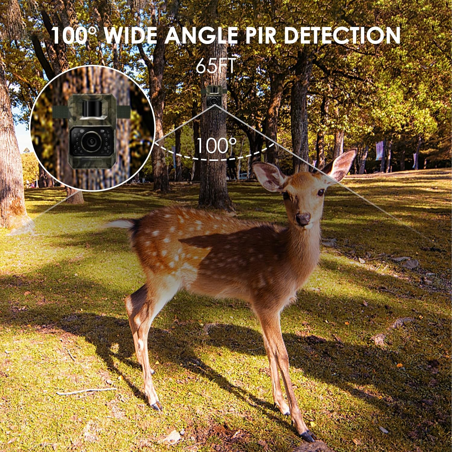 The MAXDONE Wildlife Camera 4K 64MP with Night Vision Motion Activated Brand New - Product View 8 available from Rouge Technologies